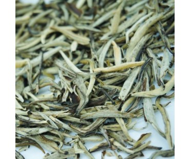 Yin Zhen Jasmin